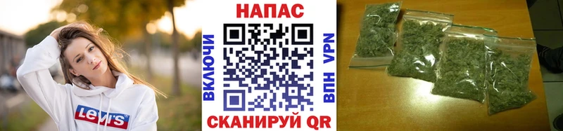 Конопля сатива  Беломорск 